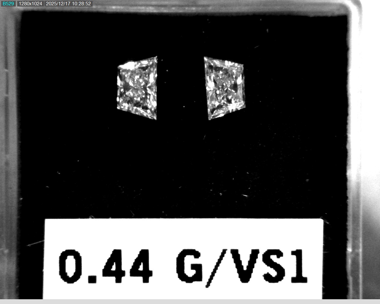 Model wearing light green backpack with black canvas straps and front zipper pouch.