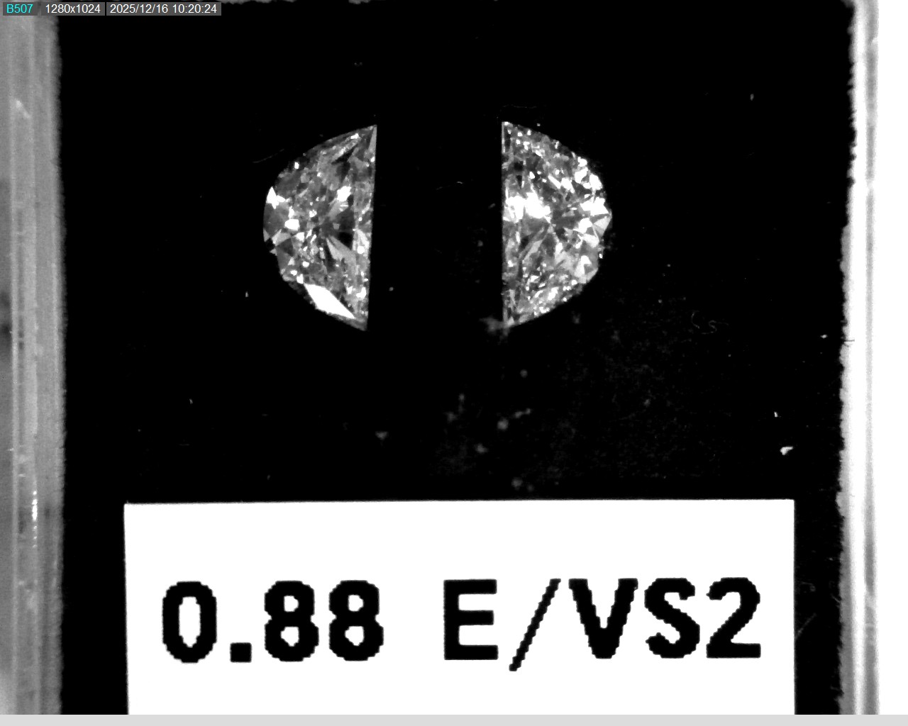 Model wearing light green backpack with black canvas straps and front zipper pouch.