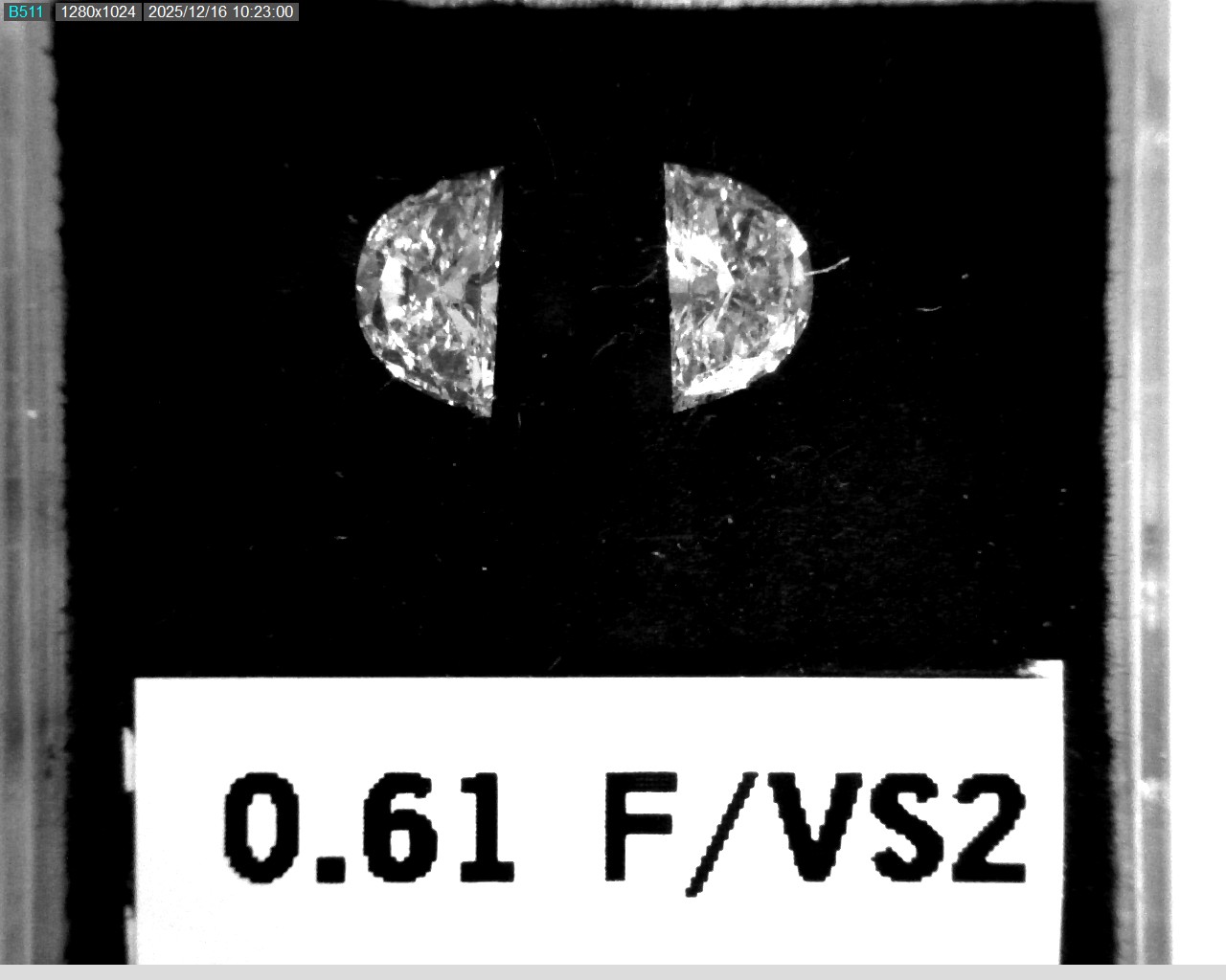 Model wearing light green backpack with black canvas straps and front zipper pouch.