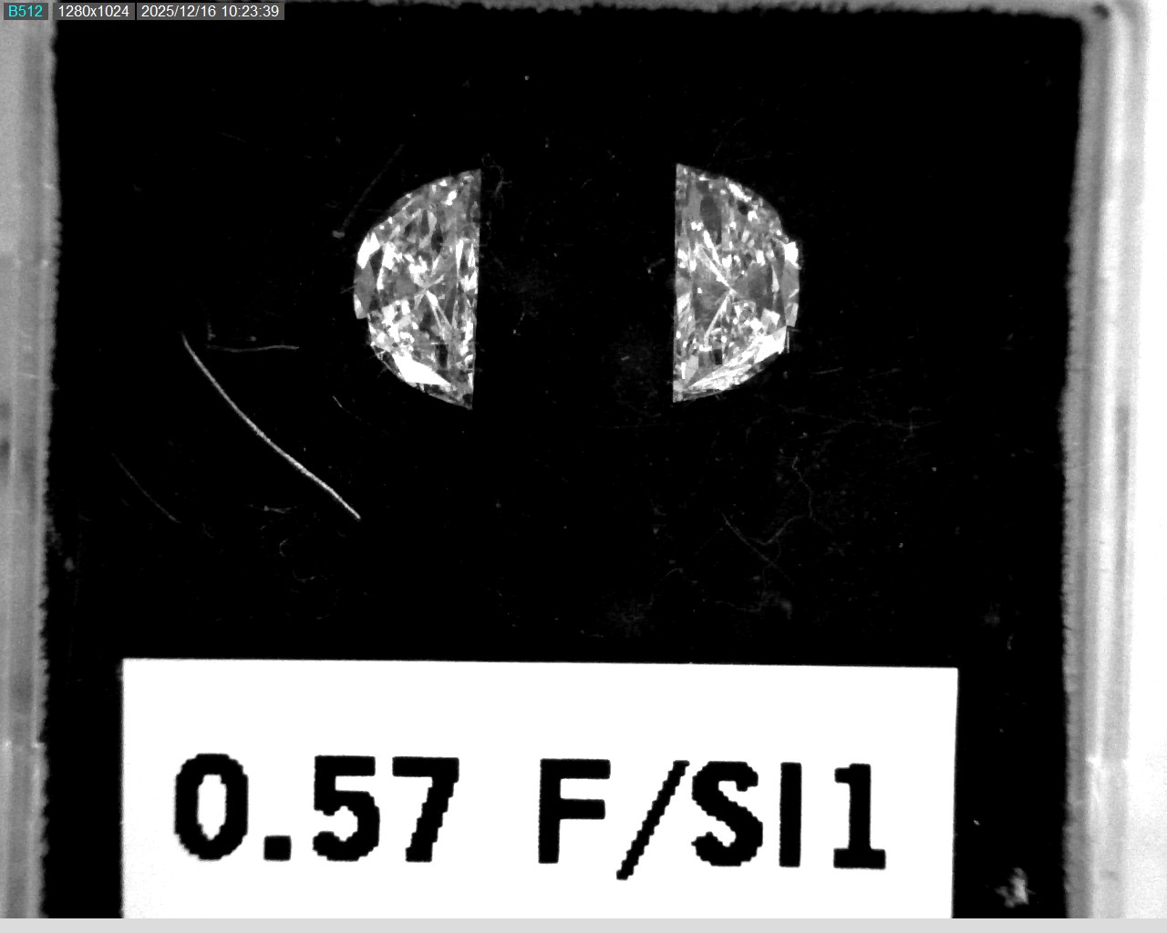 Model wearing light green backpack with black canvas straps and front zipper pouch.