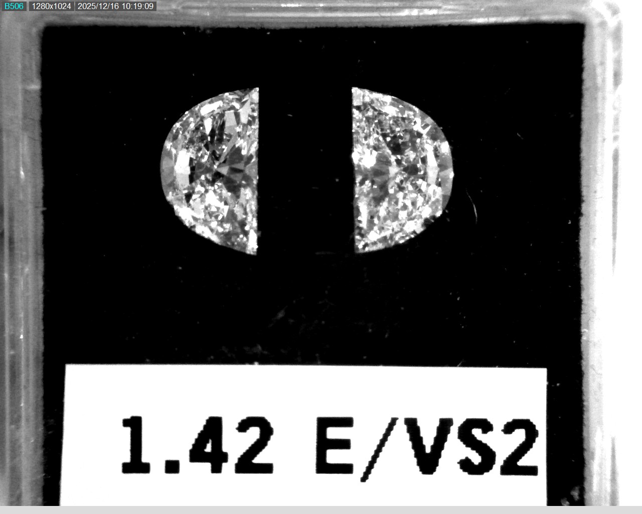 Model wearing light green backpack with black canvas straps and front zipper pouch.