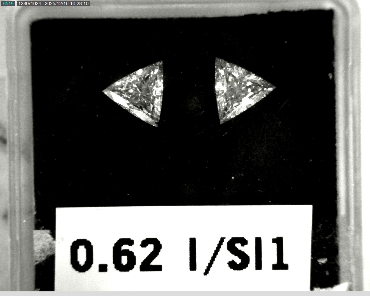 Model wearing light green backpack with black canvas straps and front zipper pouch.