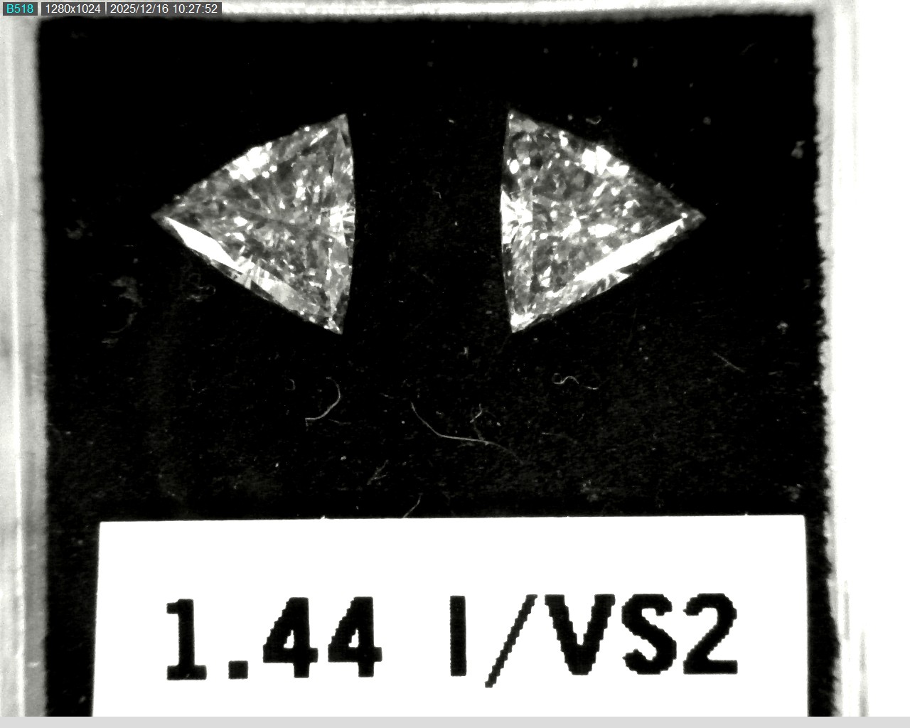 Model wearing light green backpack with black canvas straps and front zipper pouch.