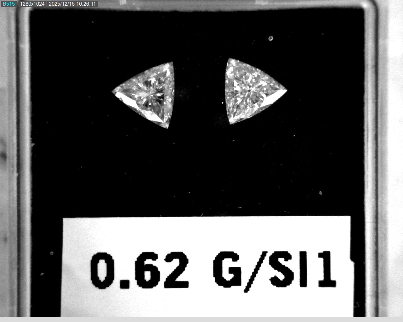 Model wearing light green backpack with black canvas straps and front zipper pouch.