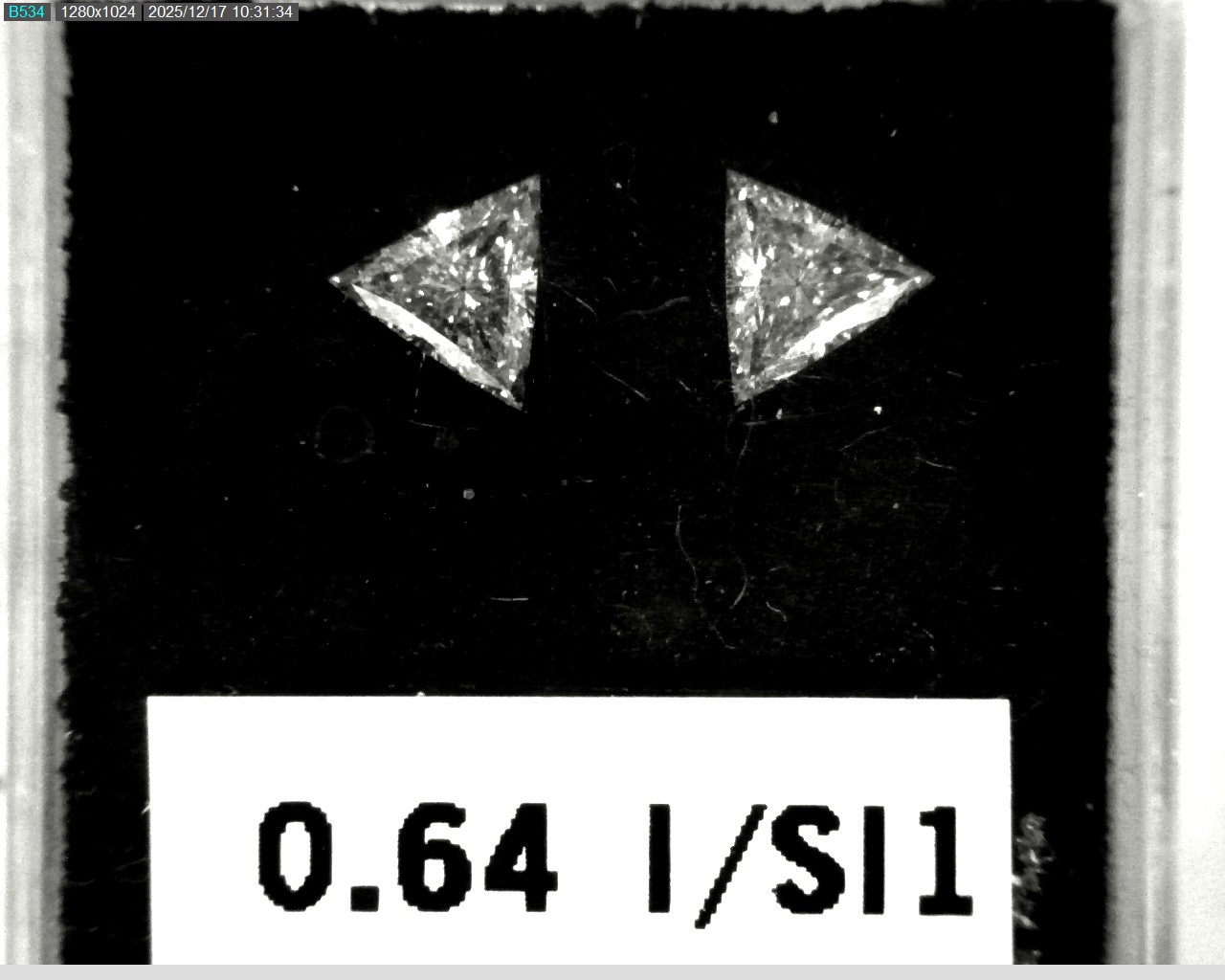 Model wearing light green backpack with black canvas straps and front zipper pouch.