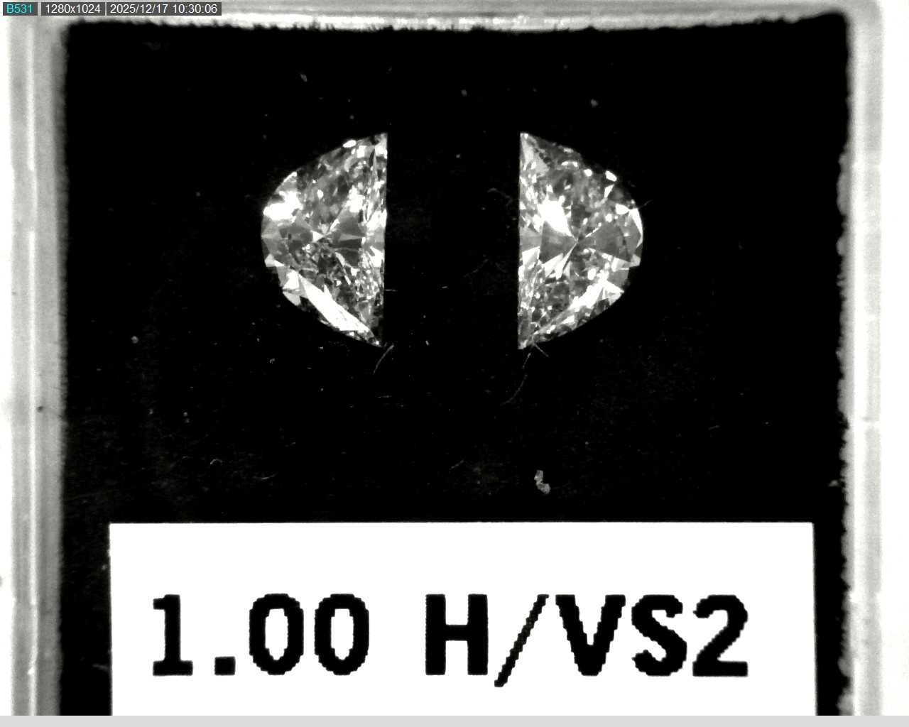 Model wearing light green backpack with black canvas straps and front zipper pouch.