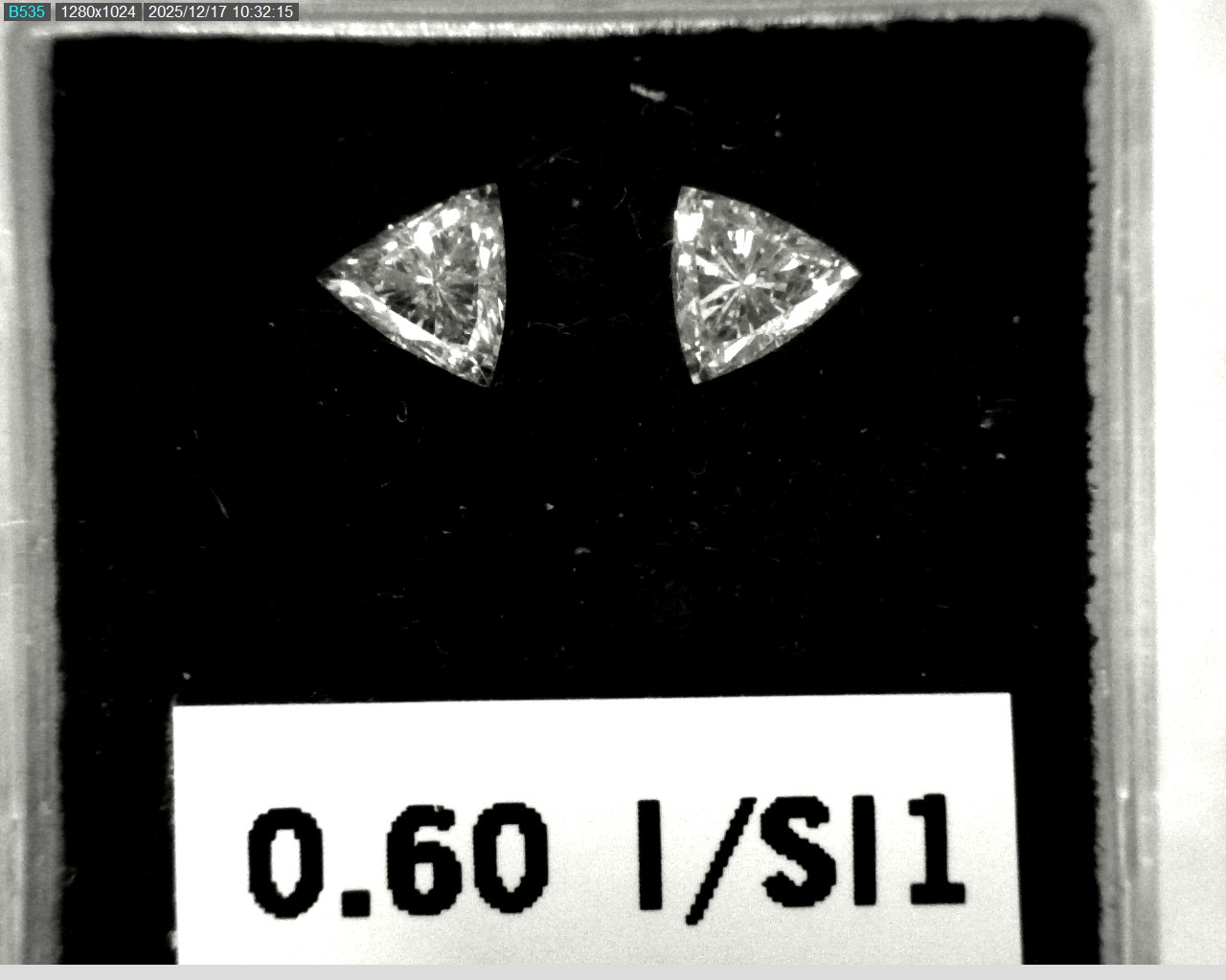 Model wearing light green backpack with black canvas straps and front zipper pouch.