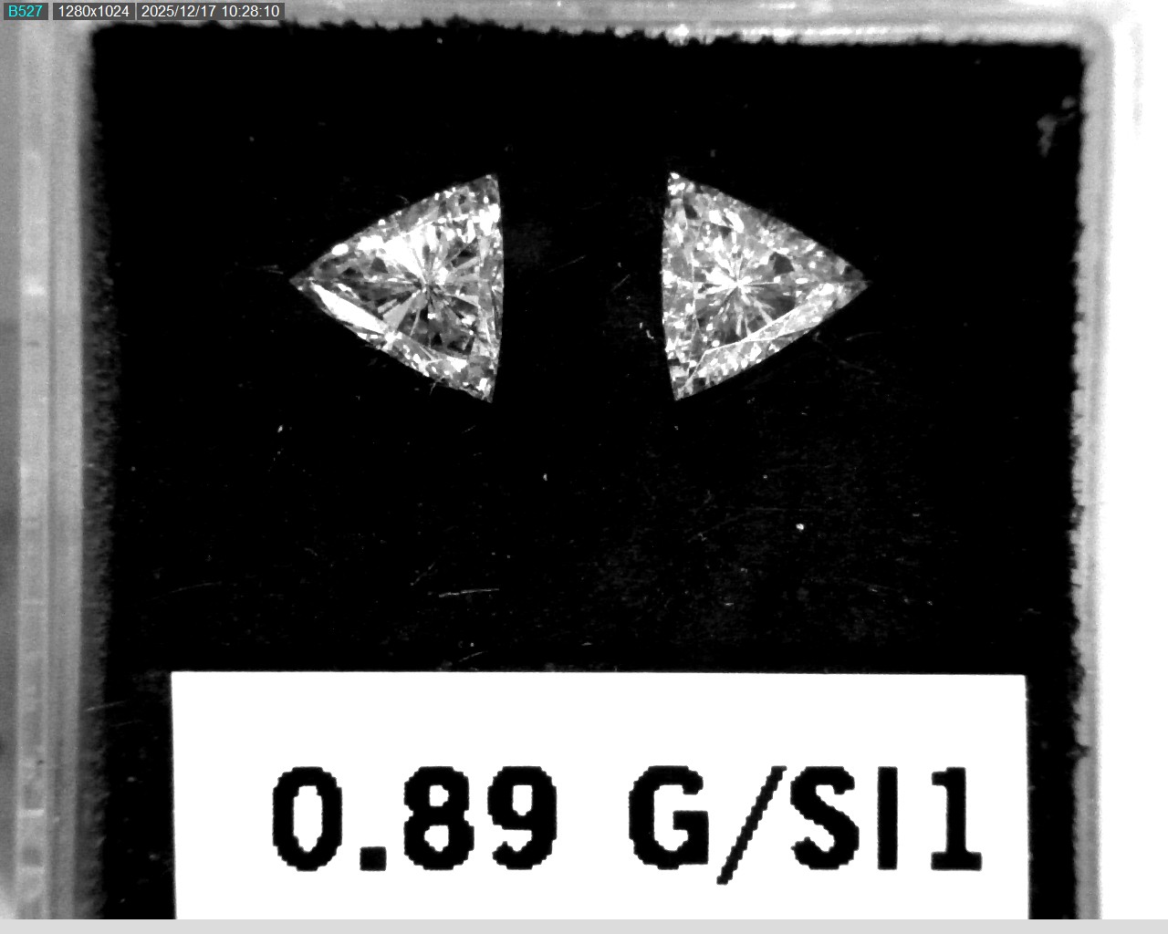 Model wearing light green backpack with black canvas straps and front zipper pouch.