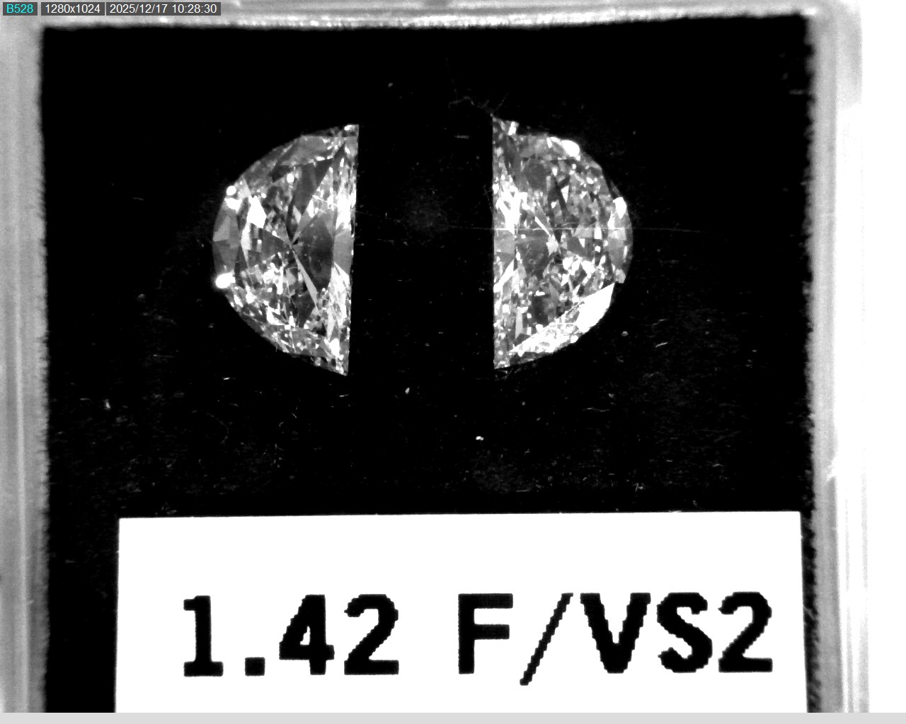 Model wearing light green backpack with black canvas straps and front zipper pouch.