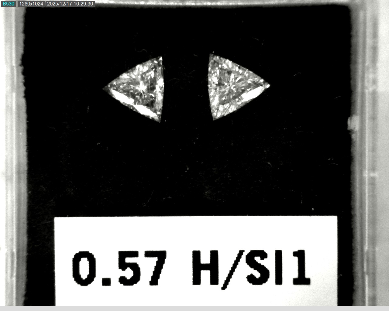 Model wearing light green backpack with black canvas straps and front zipper pouch.