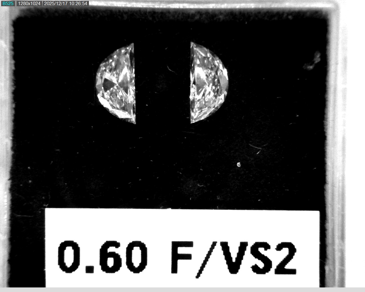 Model wearing light green backpack with black canvas straps and front zipper pouch.