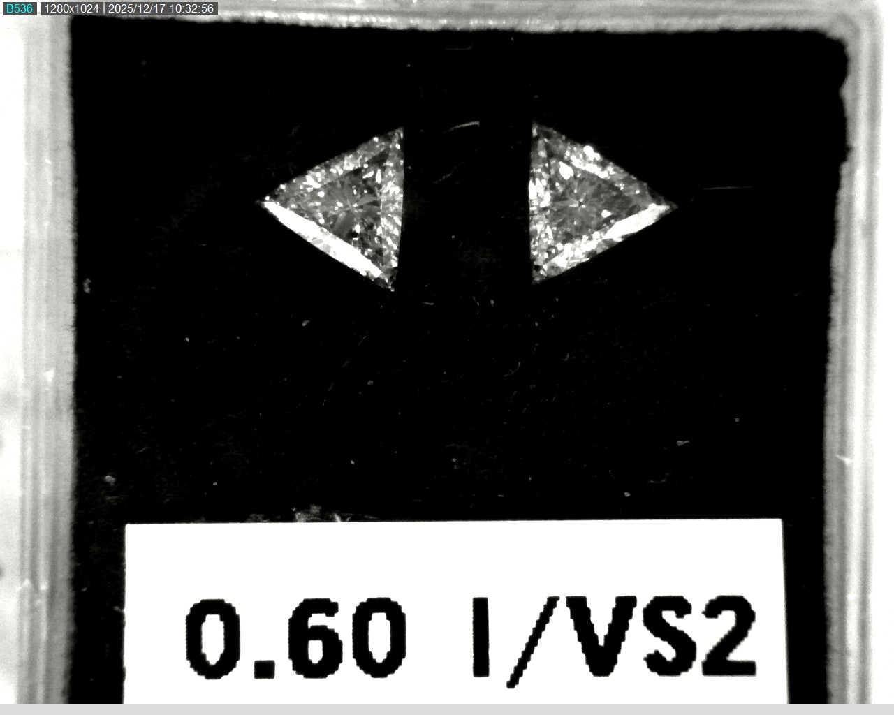 Model wearing light green backpack with black canvas straps and front zipper pouch.